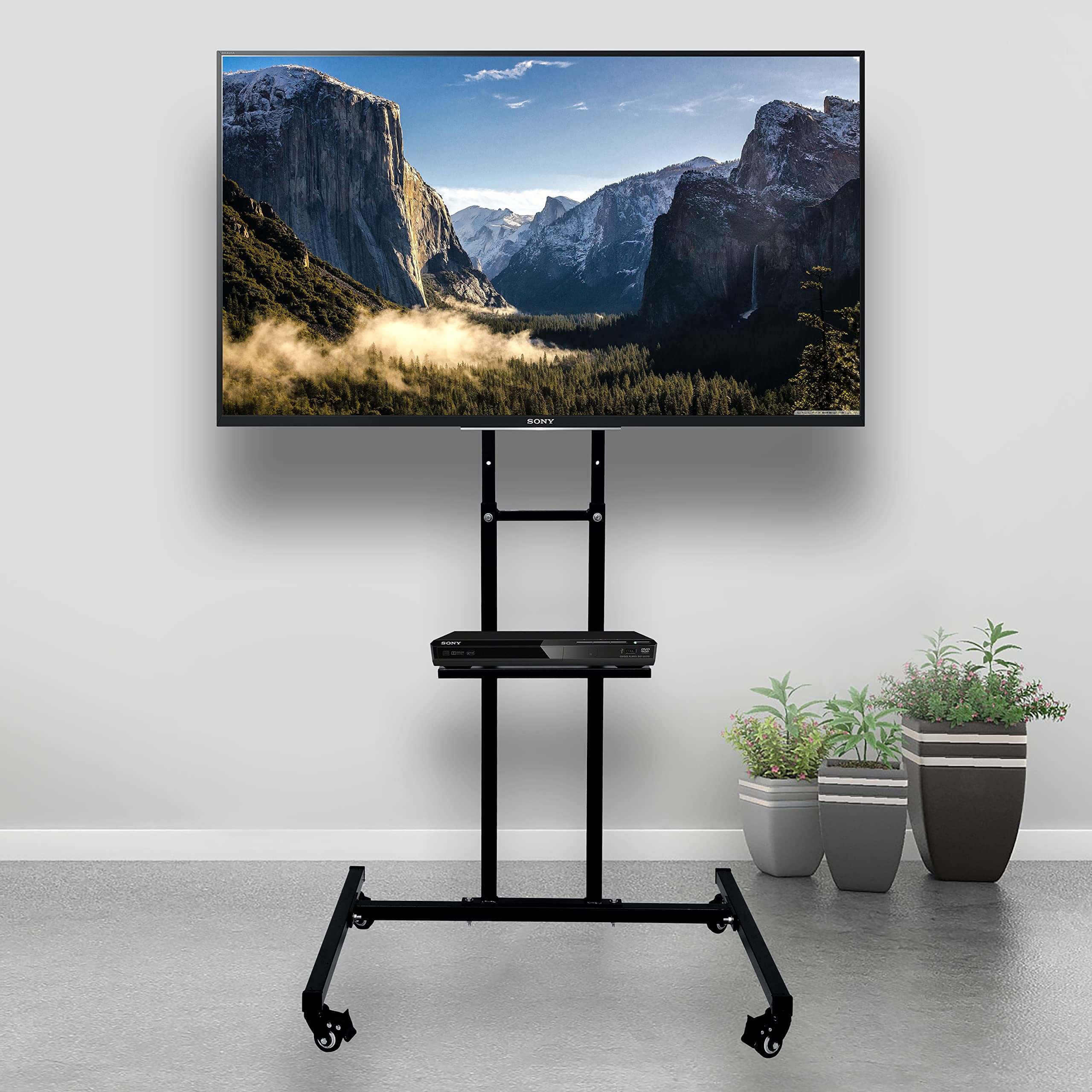SAMSUNG 55'' TV with moving stand